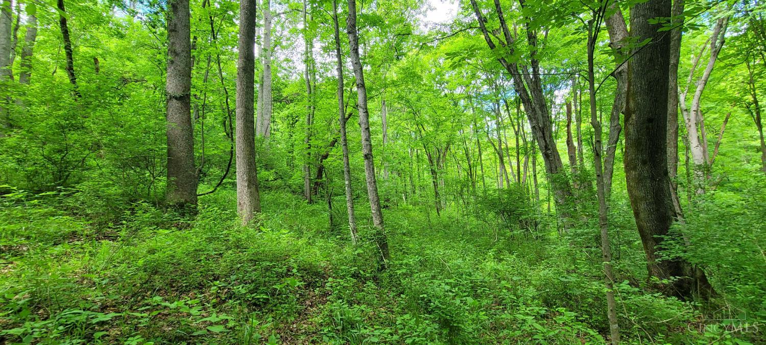 20.6 Ac Buckler Rd, Monroe Twp, OH, 45157 — photo 28