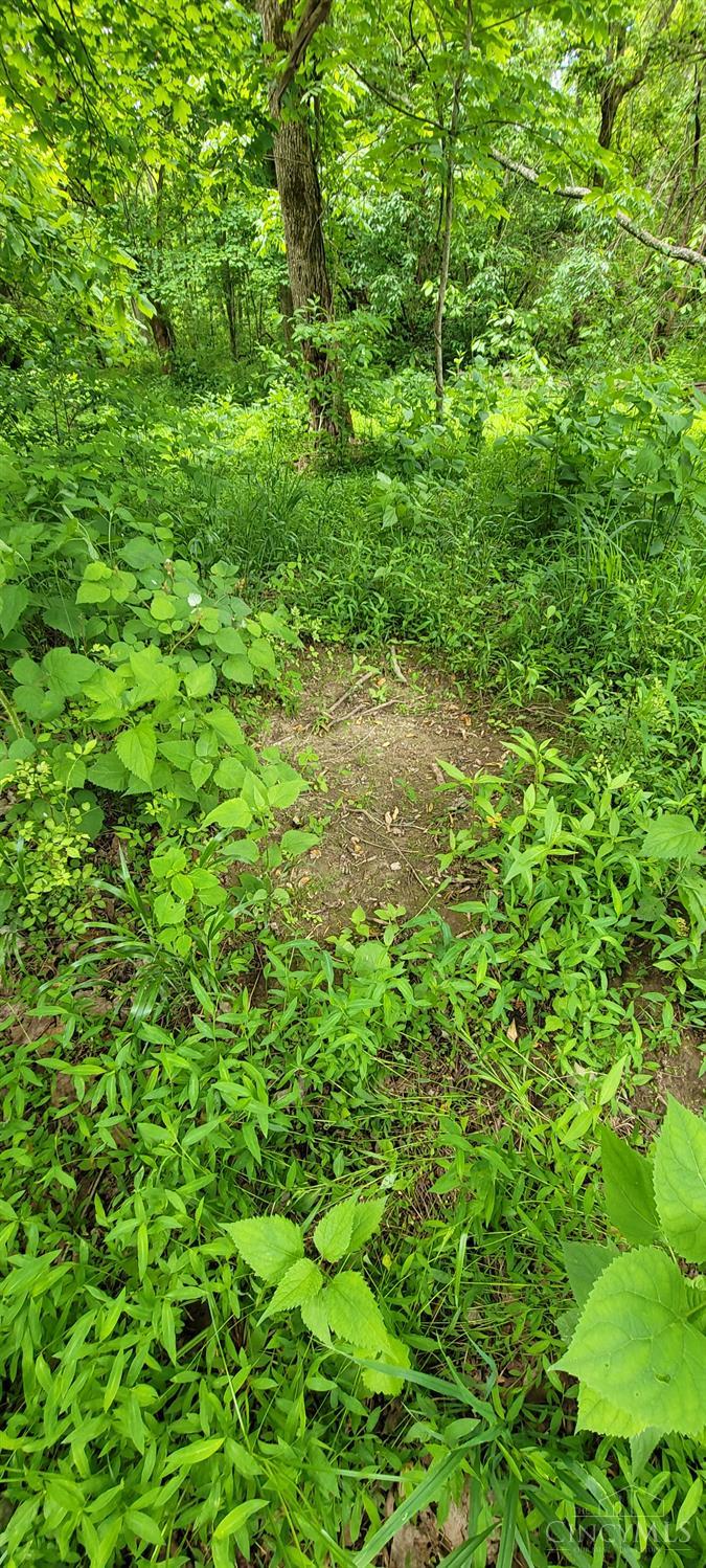 20.6 Ac Buckler Rd, Monroe Twp, OH, 45157 — photo 30