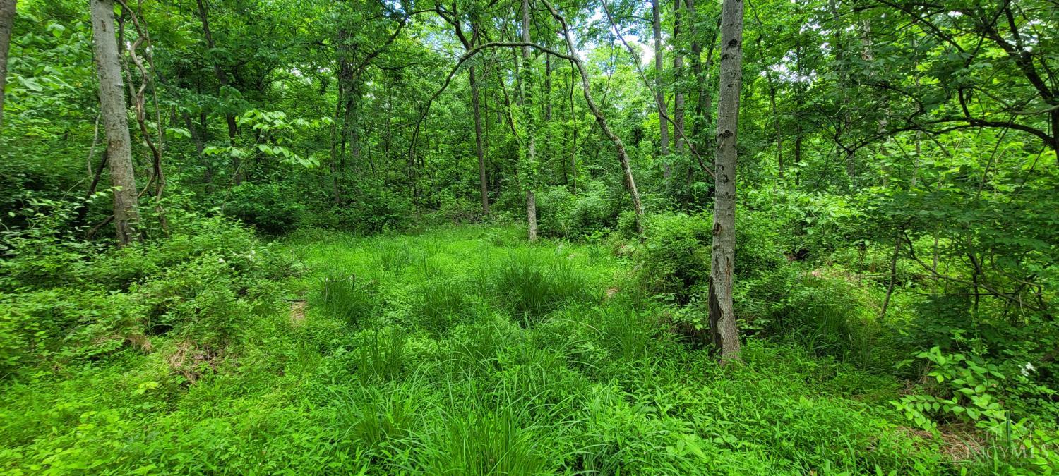 20.6 Ac Buckler Rd, Monroe Twp, OH, 45157 — photo 6