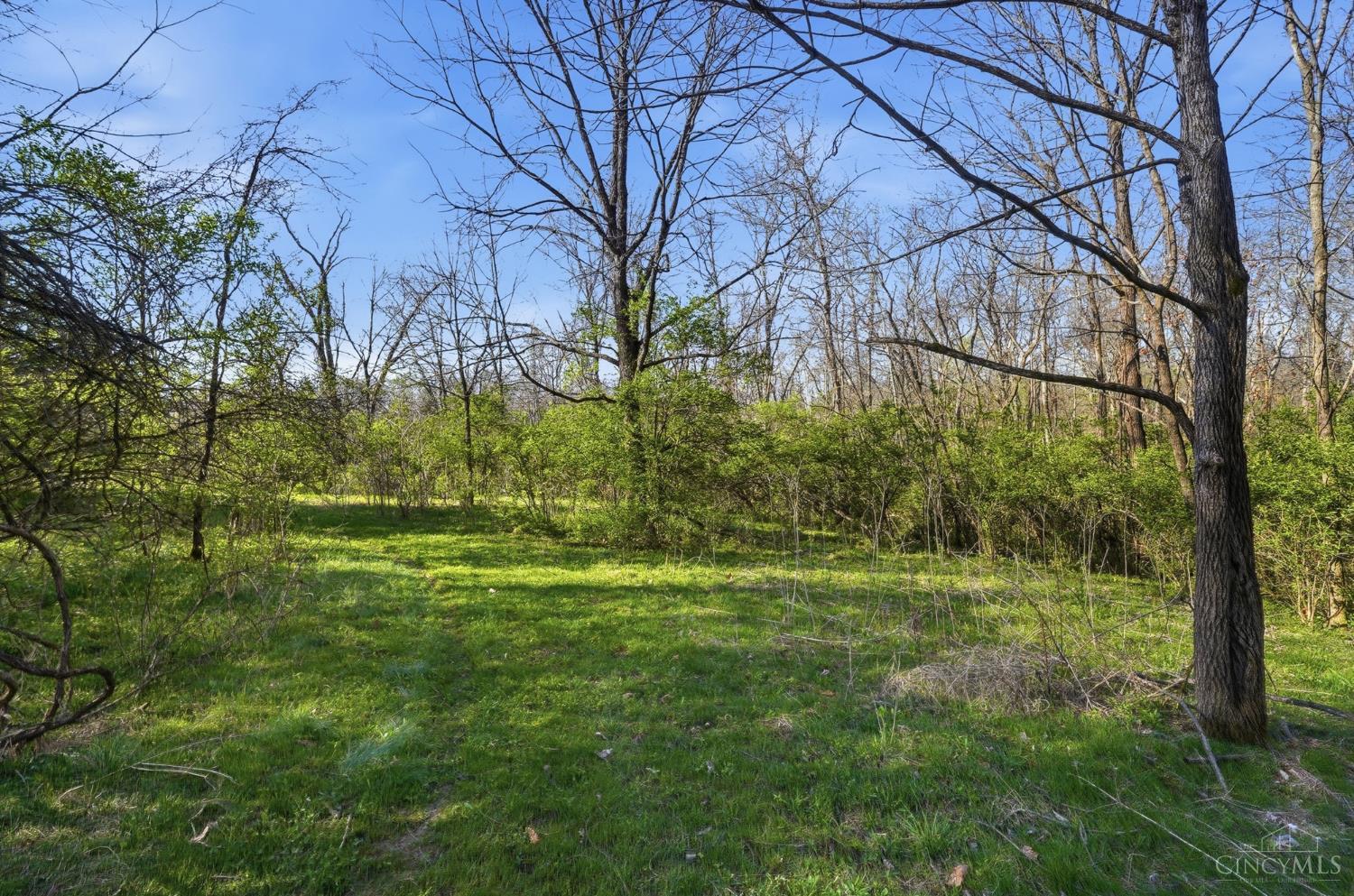 Osceola Road, Harlan Twp, OH, 45107 — photo 18