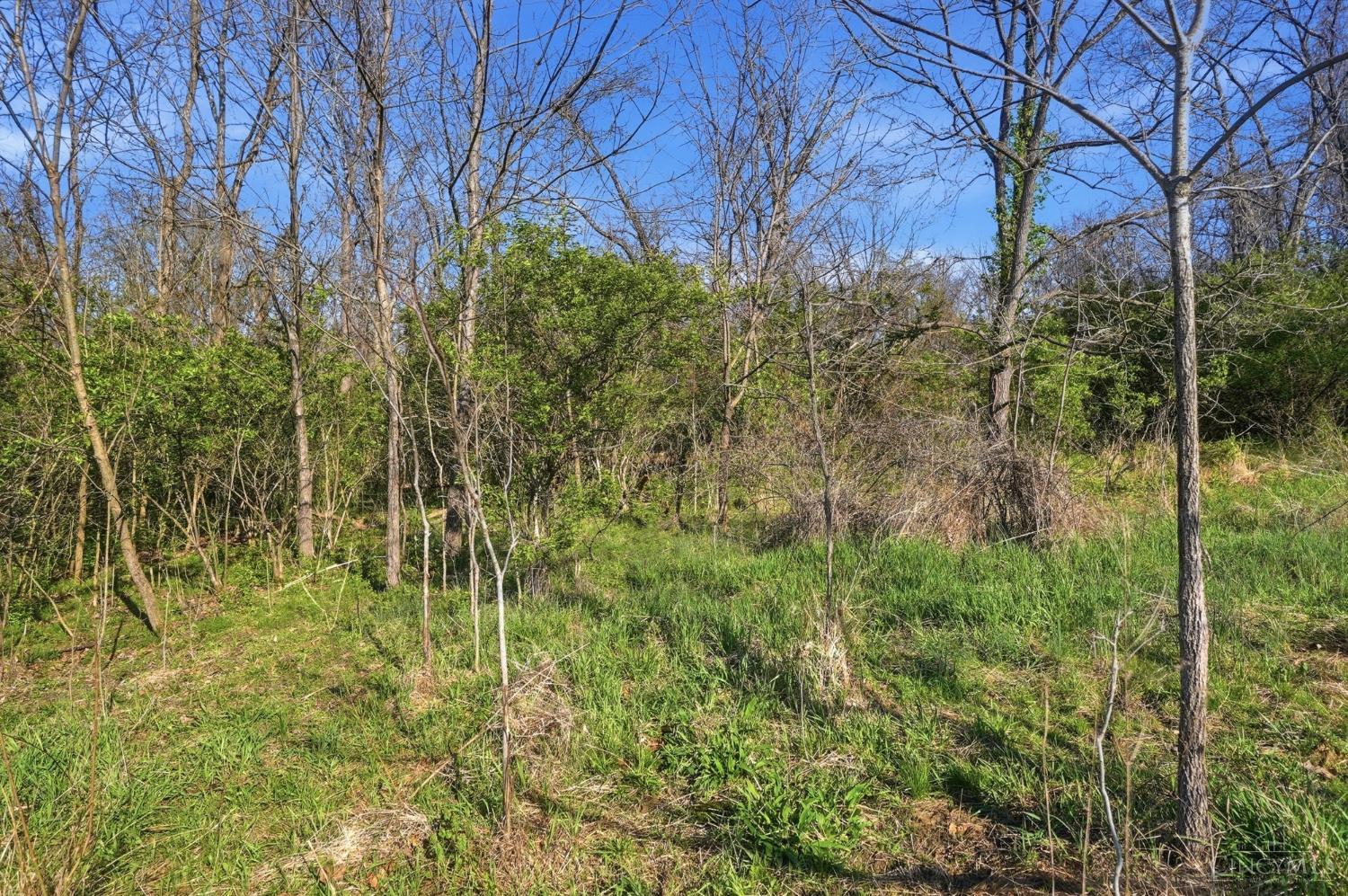 Osceola Road, Harlan Twp, OH, 45107 — photo 15