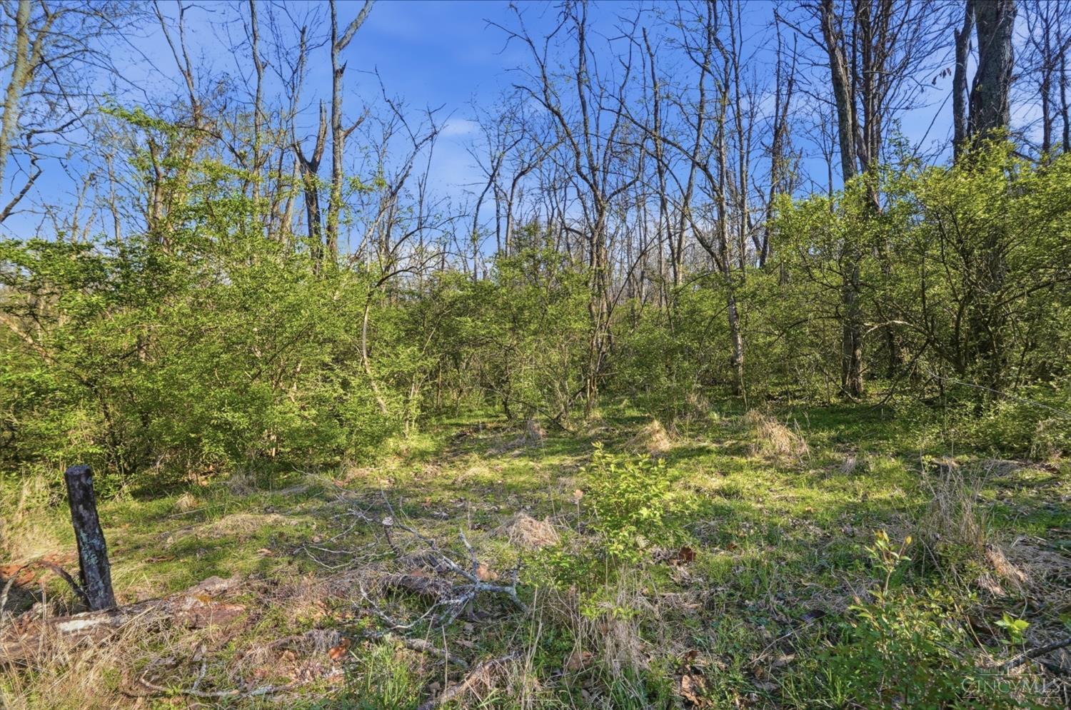 Osceola Road, Harlan Twp, OH, 45107 — photo 24