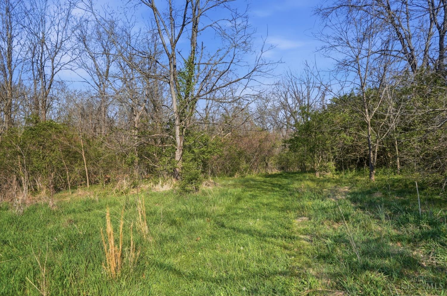 Osceola Road, Harlan Twp, OH, 45107 — photo 17