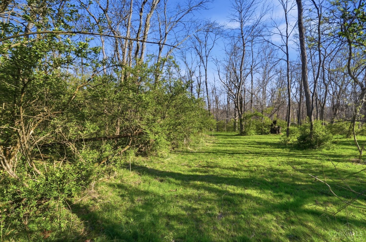 Osceola Road, Harlan Twp, OH, 45107 — photo 19