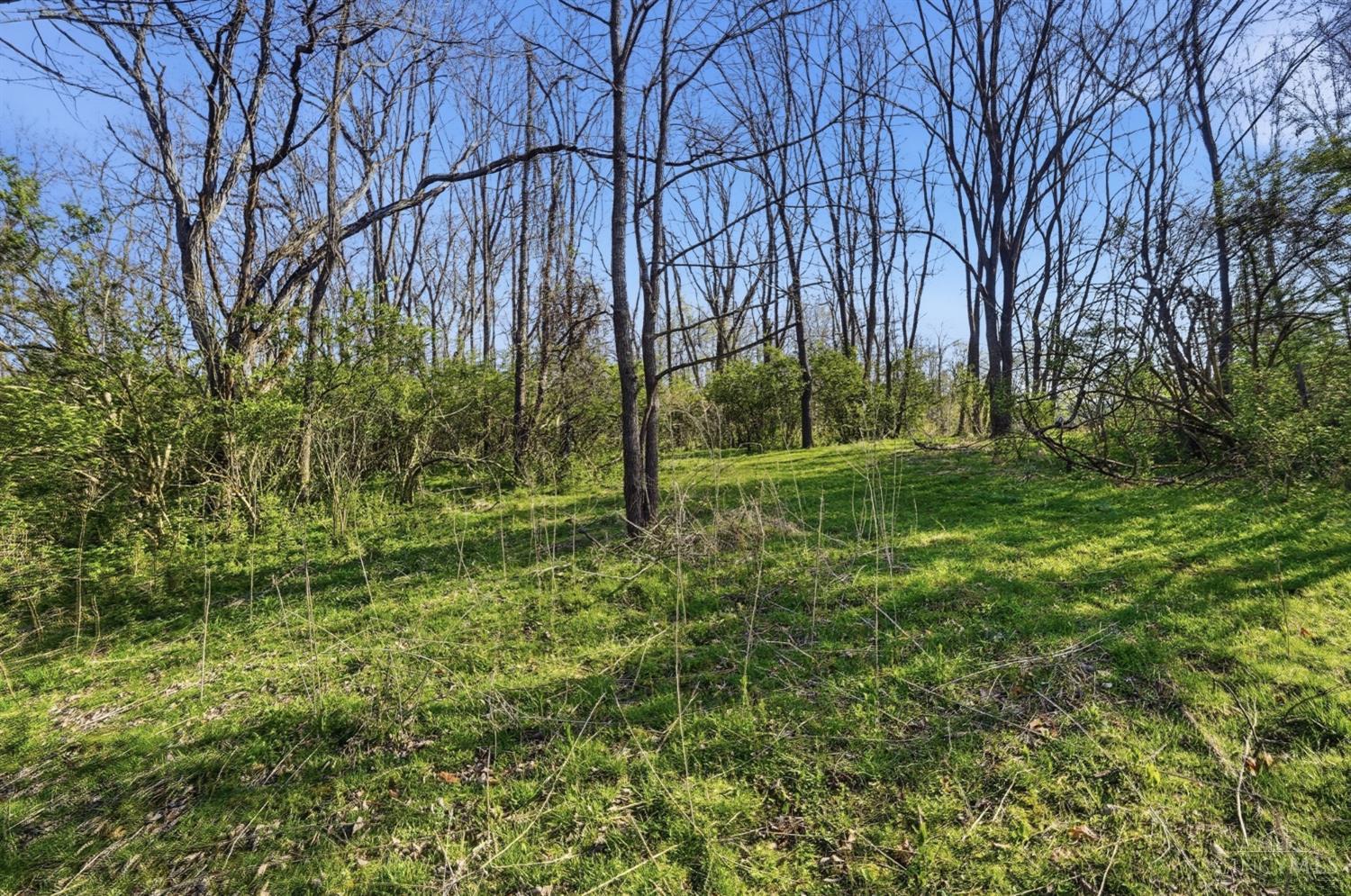 Osceola Road, Harlan Twp, OH, 45107 — photo 22