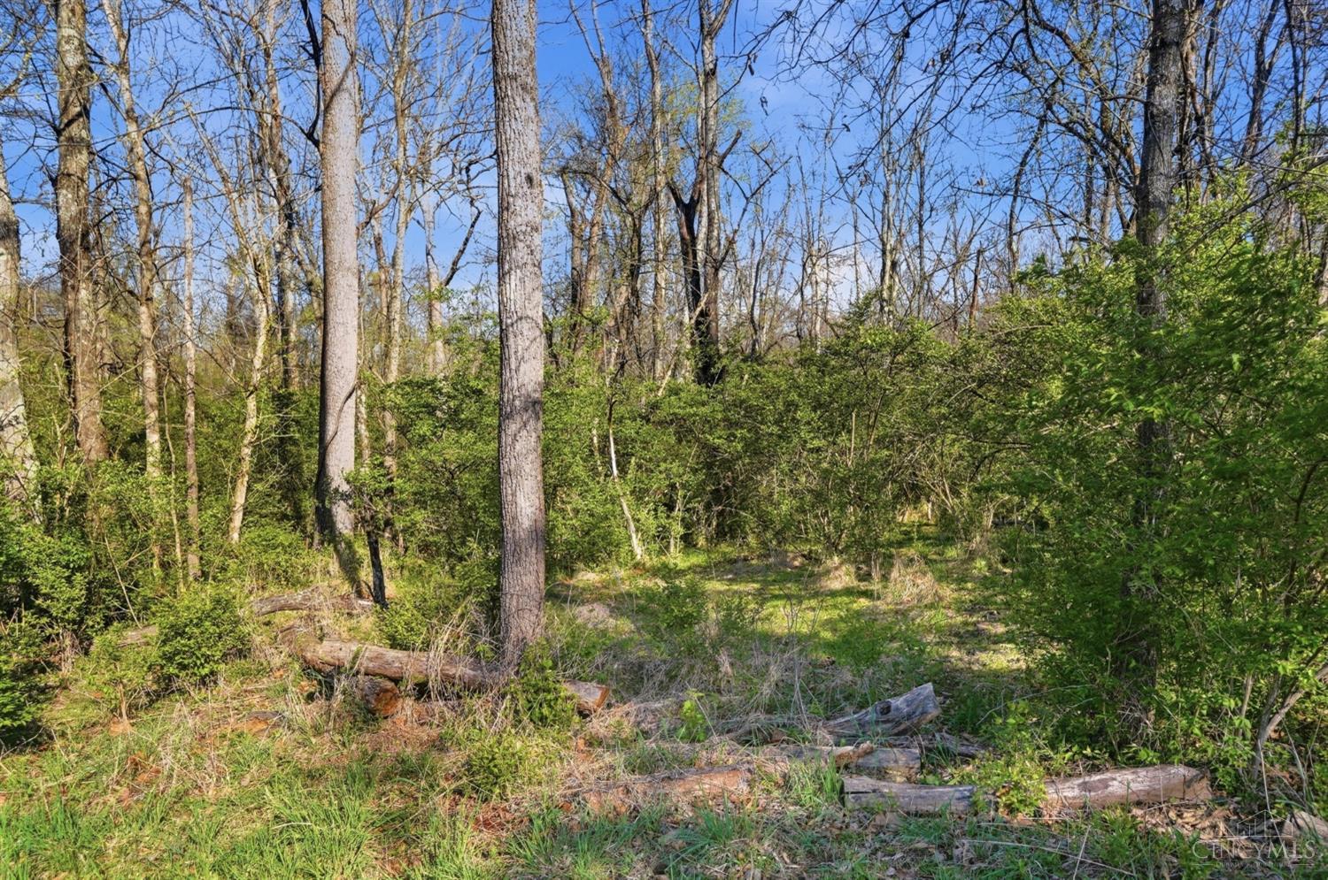 Osceola Road, Harlan Twp, OH, 45107 — photo 23