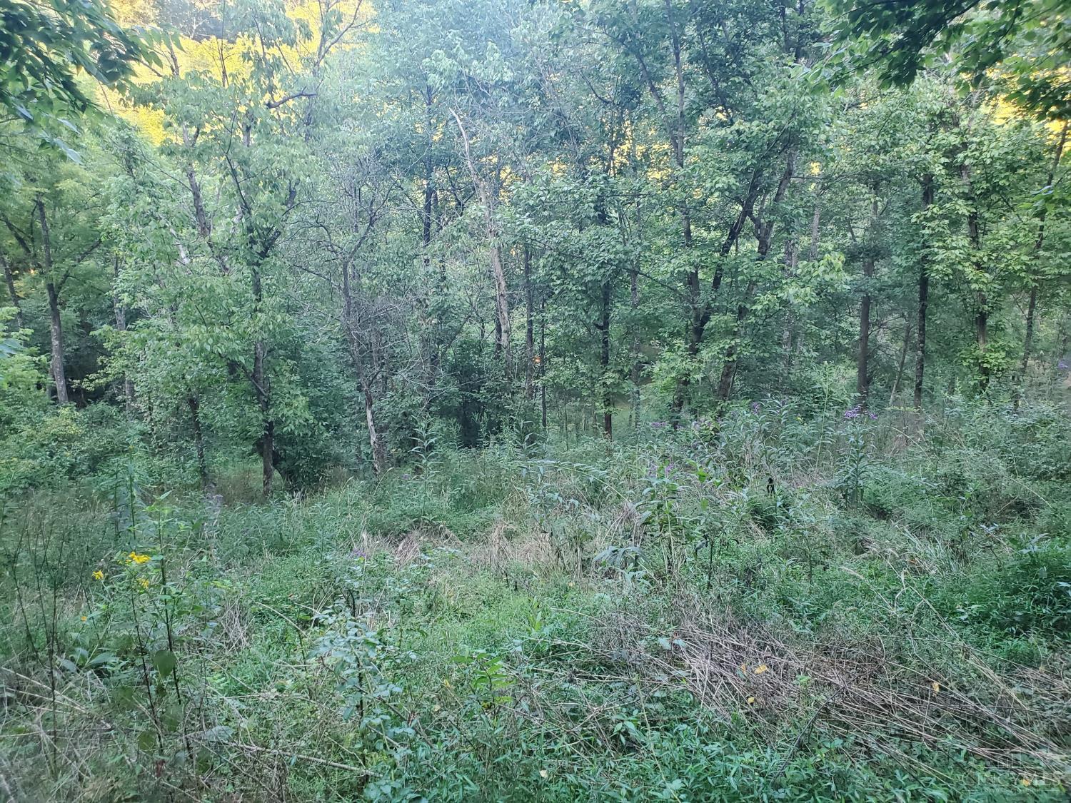 Homes for sale in Whitewater Twp, OH | 11050 Bond Rd, Whitewater Twp, OH 45030 | MLS# 1879936