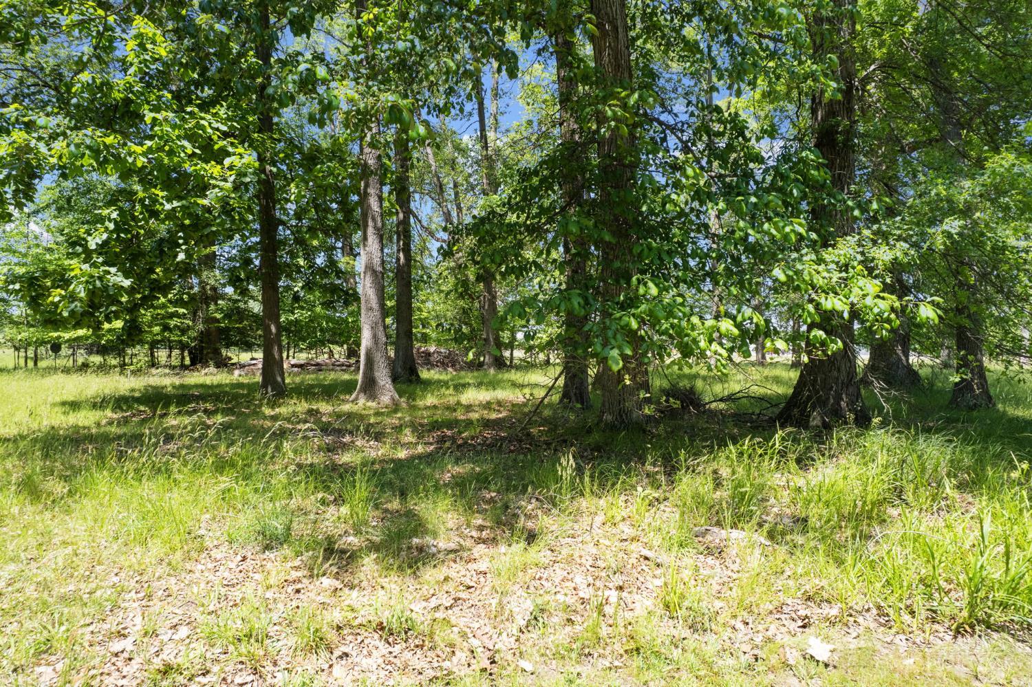 1 Chickasaw Cove, Franklin Twp, OH, 45171 — photo 29