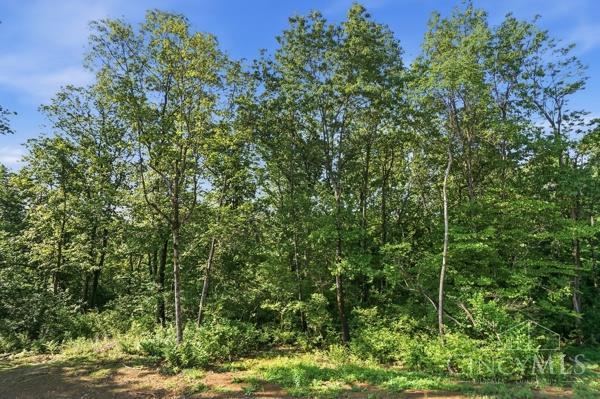 3561 Sunny Acres Drive #RT253, Ross Twp, OH, 45013 — photo 62