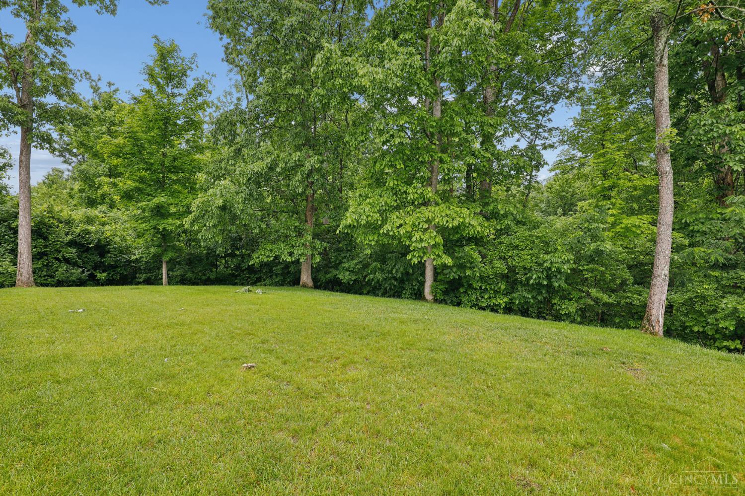 431 Trailview Court, Anderson Twp, OH, 45244 — photo 42