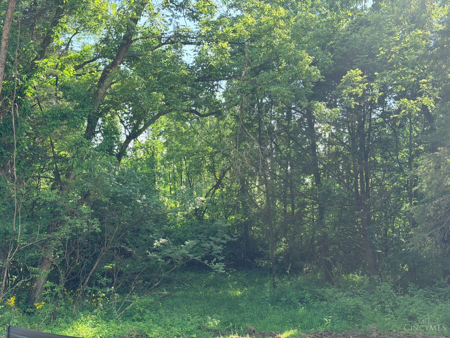 Lot 201 Sandhill Drive, Maineville, OH, 45039