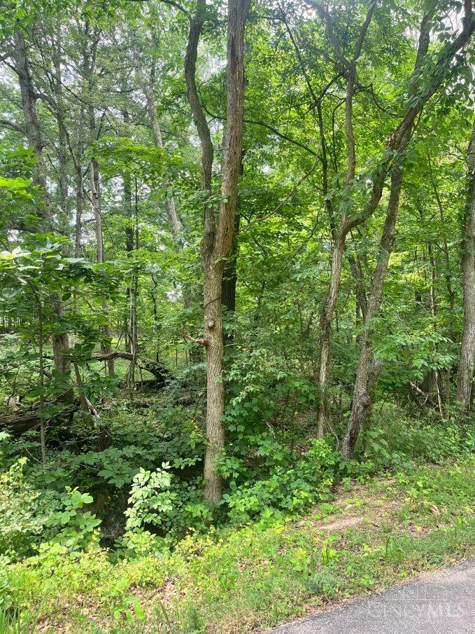 Lot 883 Horse Shoe Drive, Sardinia, OH, 45171 — photo 4