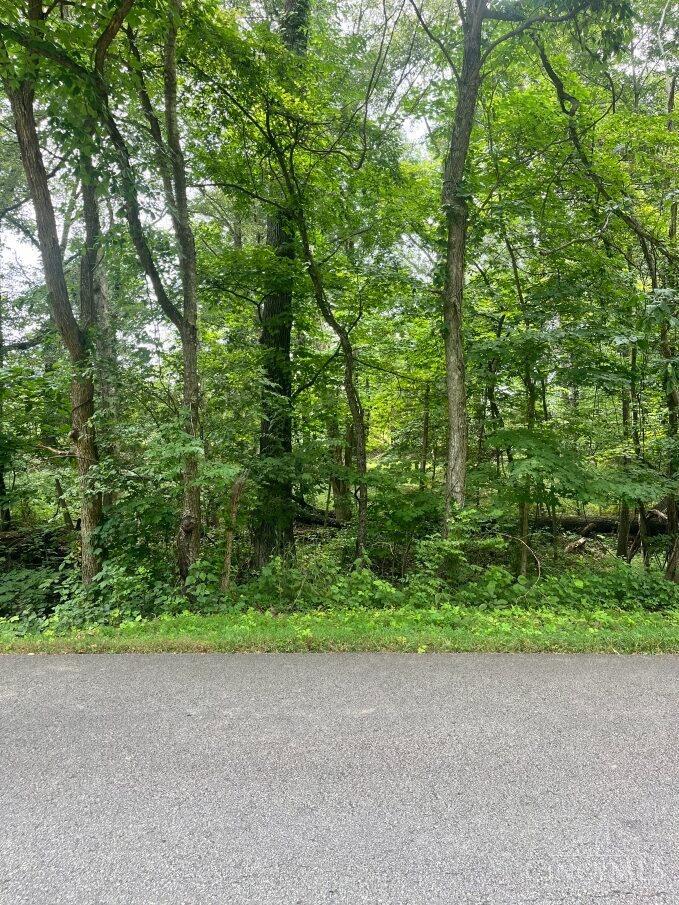 Lot 883 Horse Shoe Drive, Sardinia, OH, 45171 — photo 6