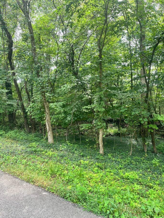 Lot 883 Horse Shoe Drive, Sardinia, OH, 45171 — photo 2