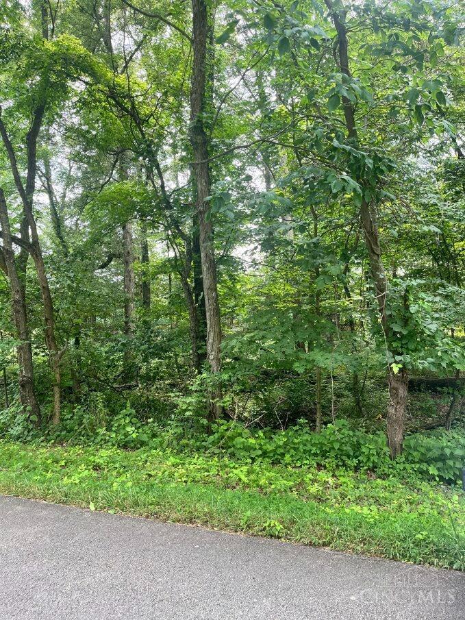 Lot 883 Horse Shoe Drive, Sardinia, OH, 45171 — photo 5