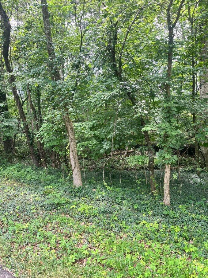 Lot 883 Horse Shoe Drive, Sardinia, OH, 45171 — photo 3