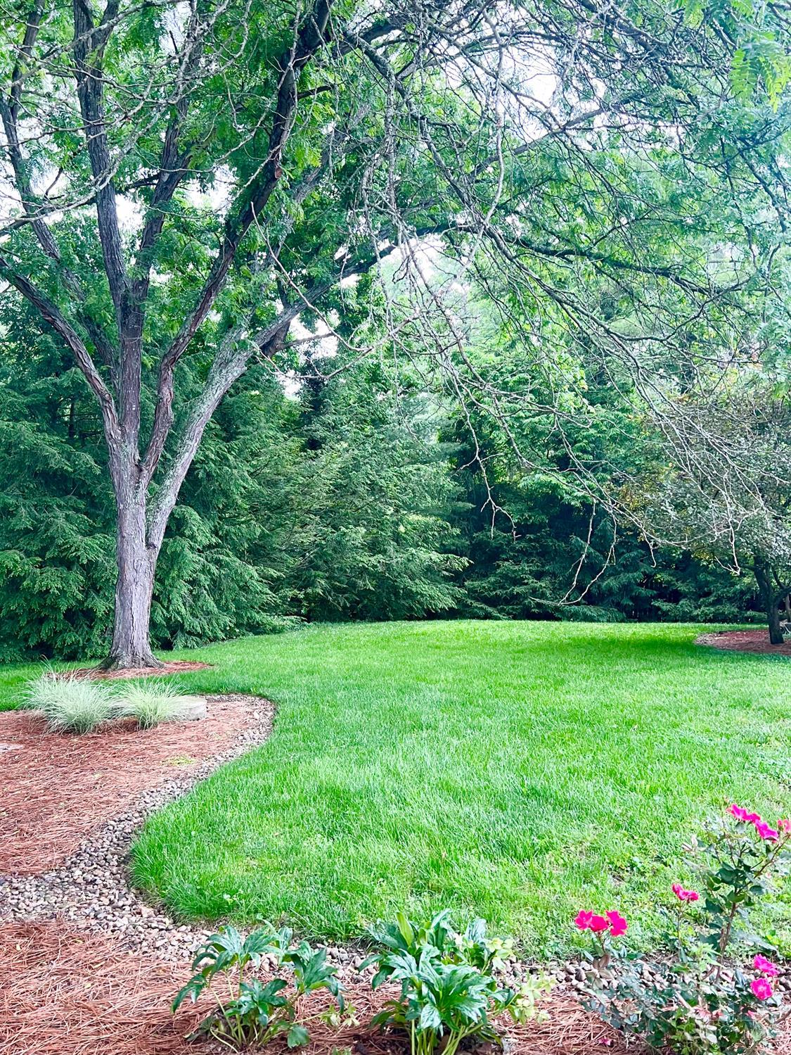 317 Given Road, Terrace Park, OH, 45174 — photo 46