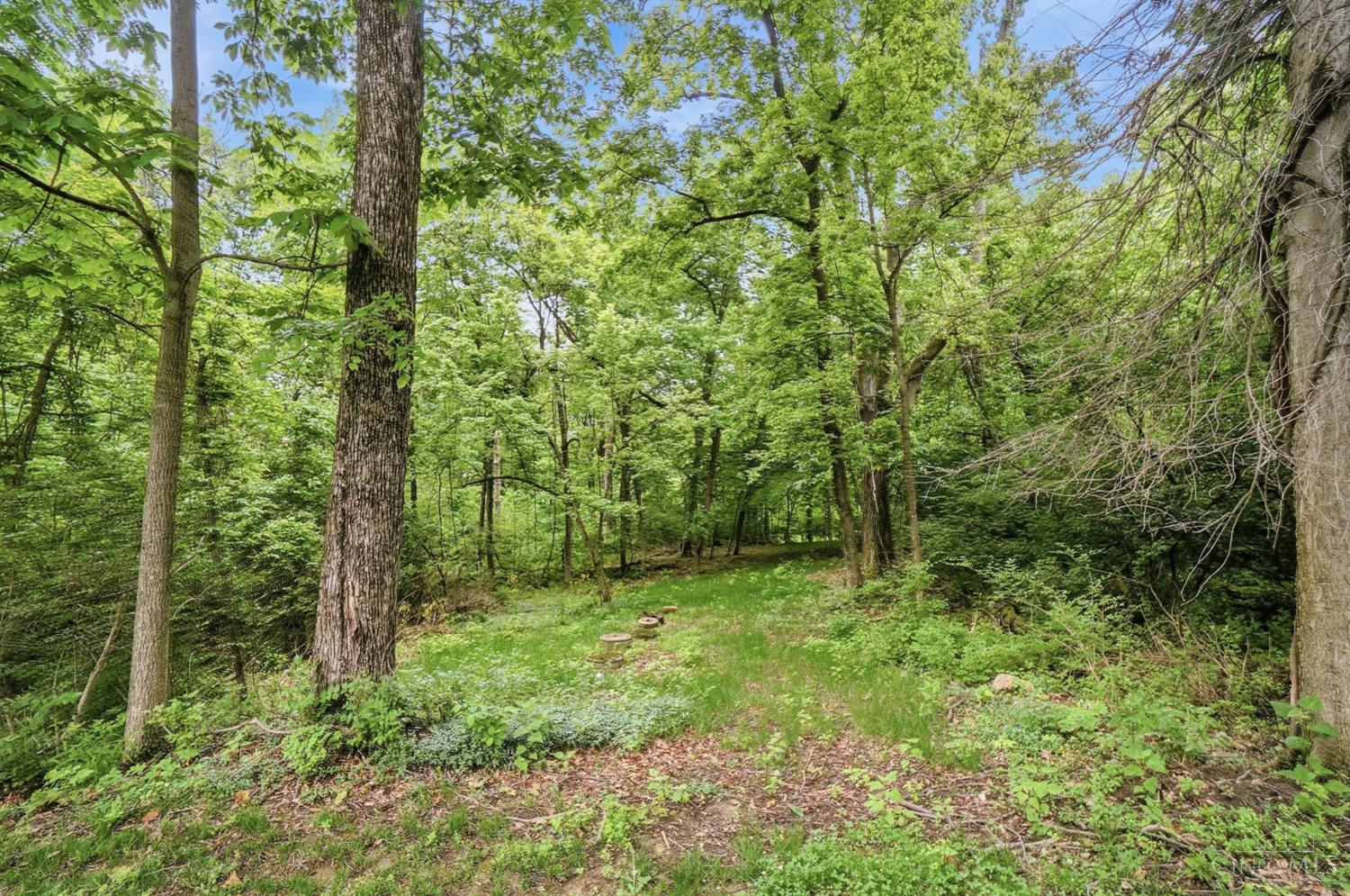 4 Beechurst Woods Lane, Green Twp, OH, 45233 — photo 61