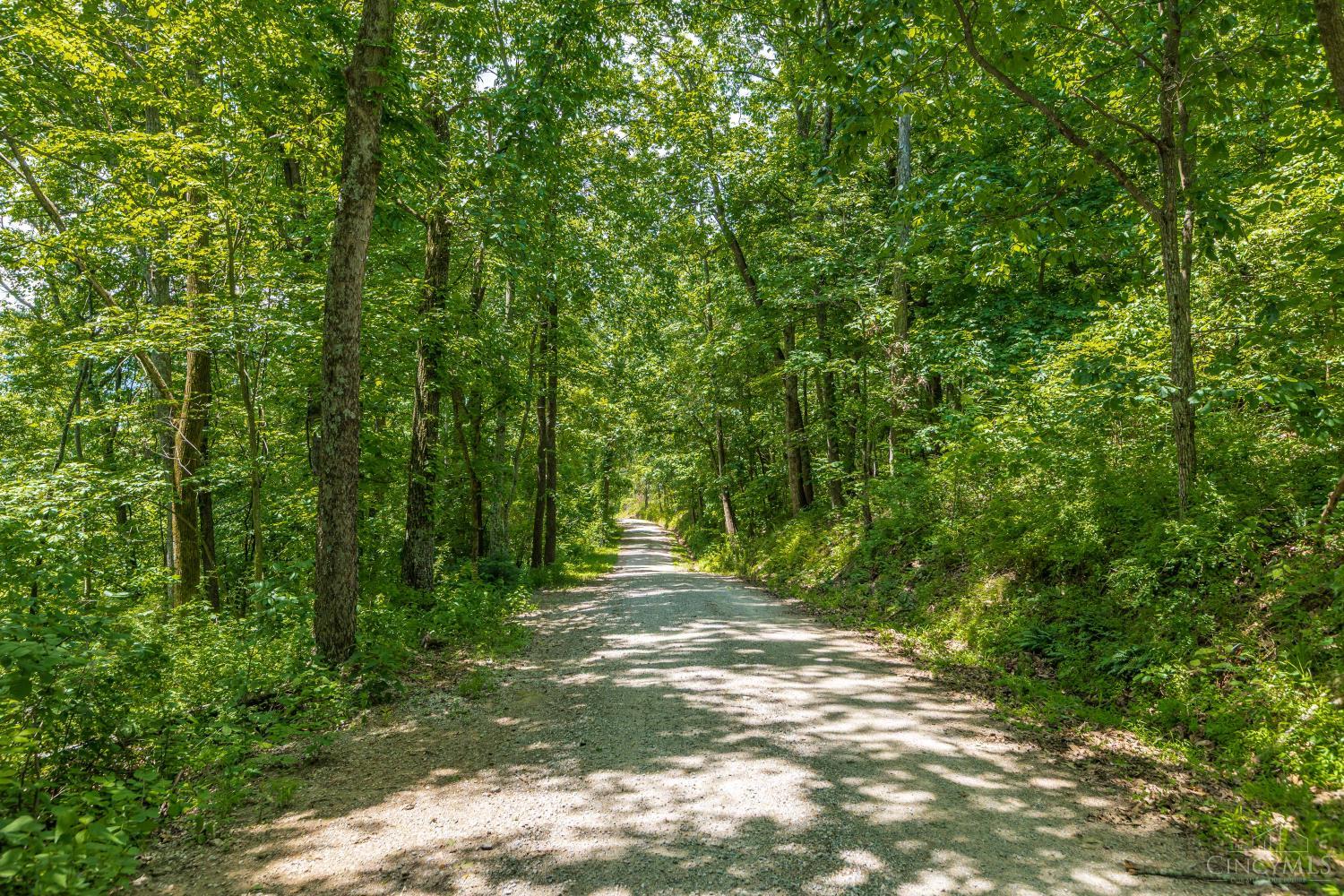 745 Coon Hollow Road