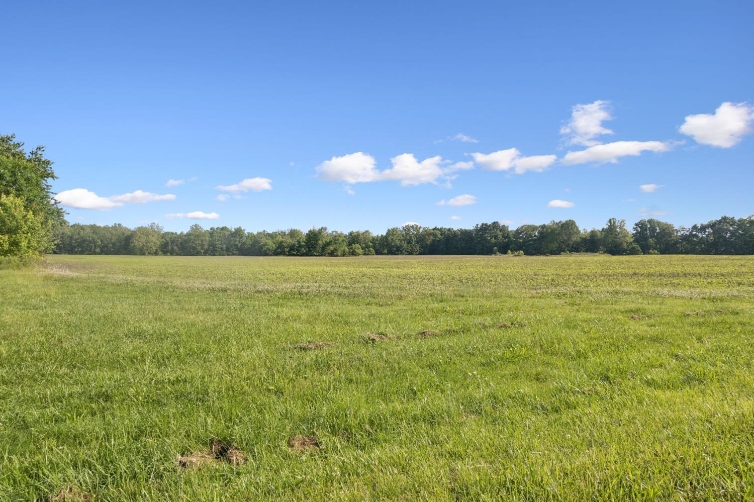 Yochum Rd, Washington Twp, OH, 45171 — photo 20