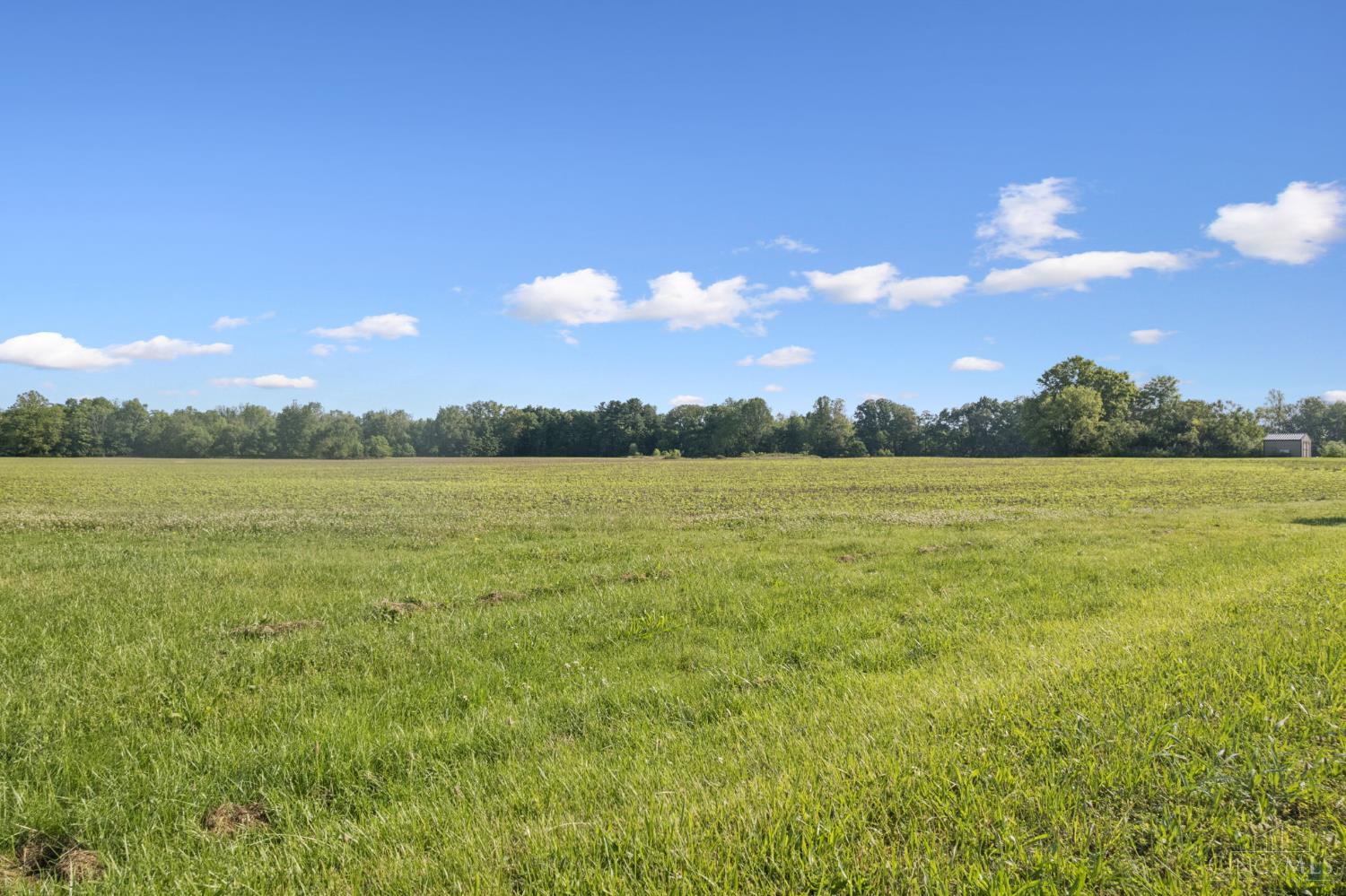 Yochum Rd, Washington Twp, OH, 45171 — photo 19