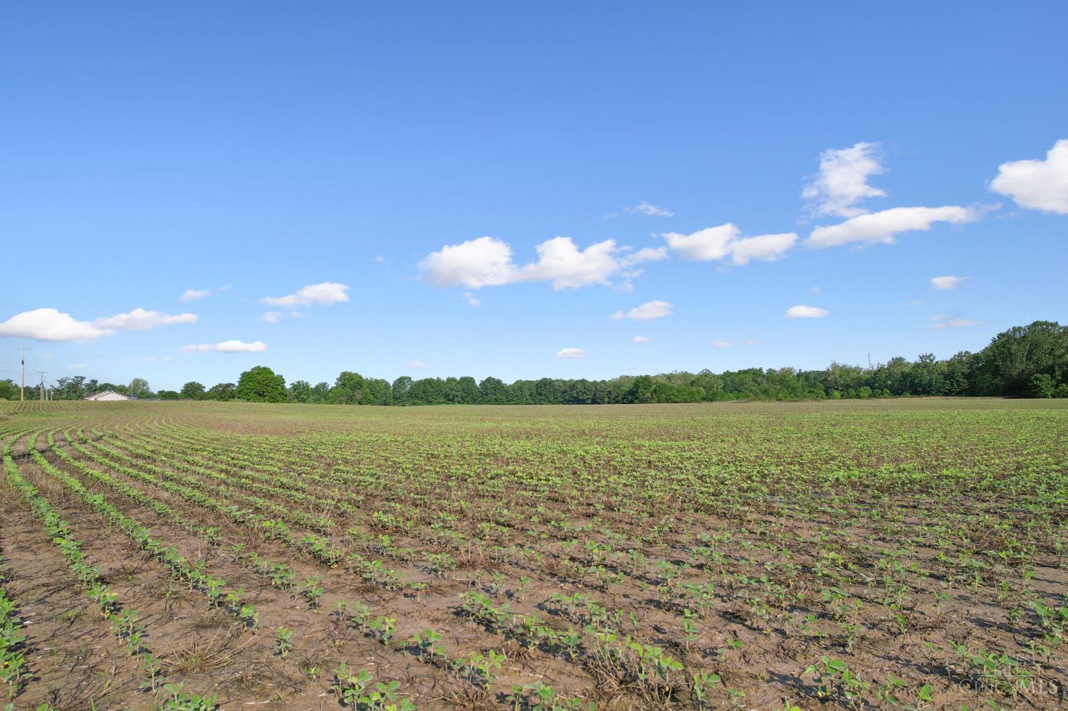 Yochum Rd, Washington Twp, OH, 45171 — photo 27
