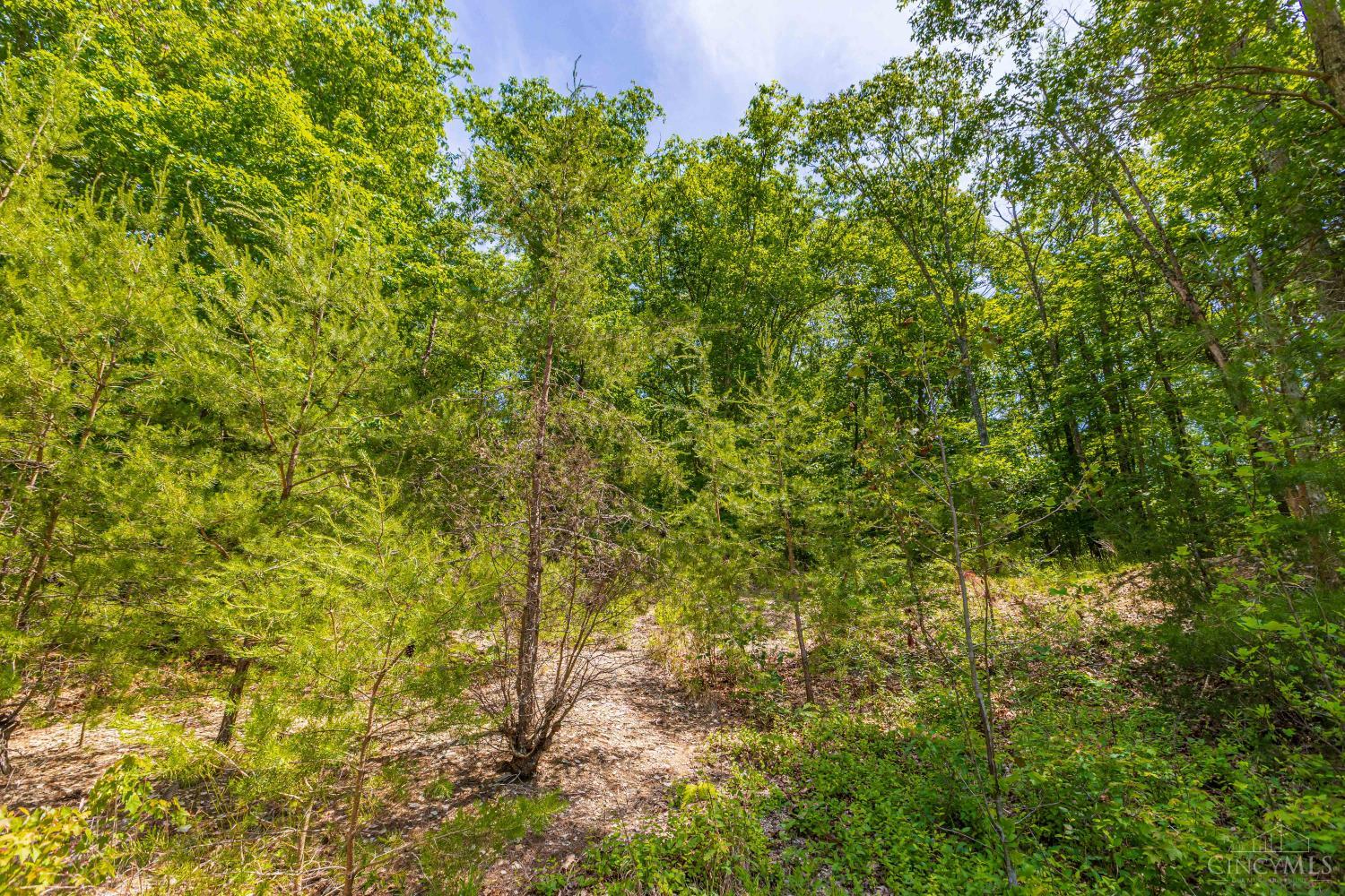 120 Thelma Lane, Blue Creek, OH, 45616 — photo 9