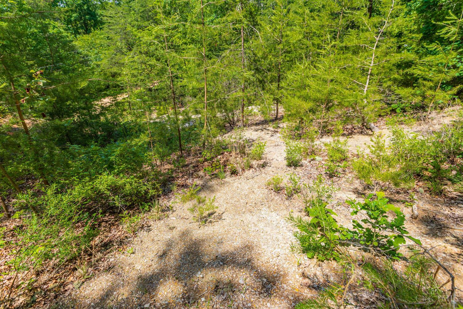 120 Thelma Lane, Blue Creek, OH, 45616 — photo 10