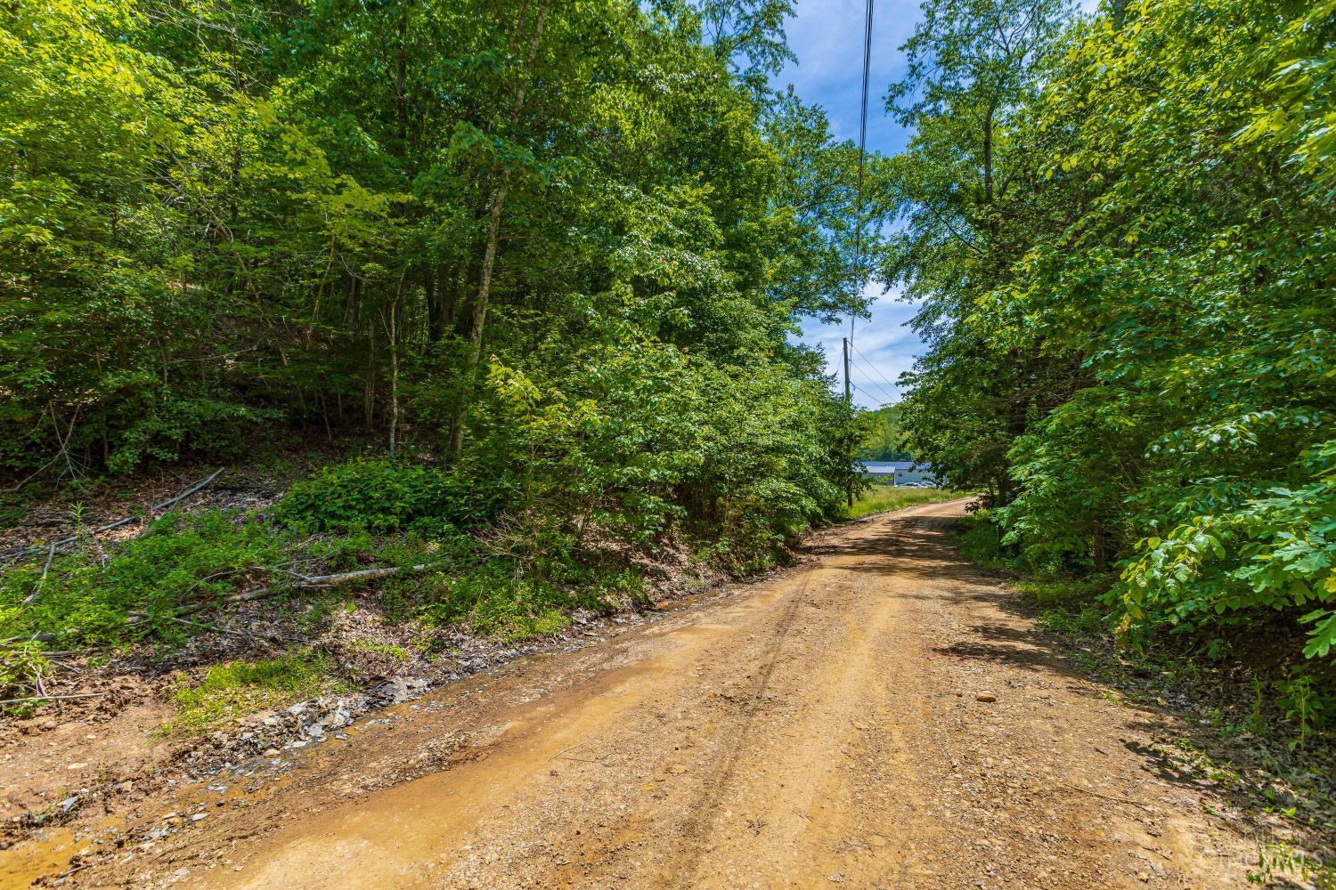 120 Thelma Lane, Blue Creek, OH, 45616 — photo 5