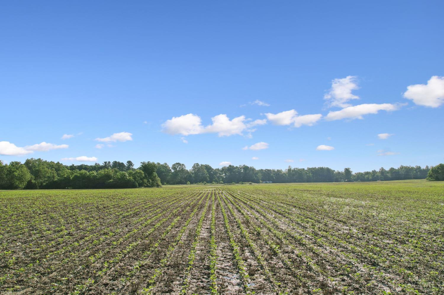 Yochum Rd, Washington Twp, OH, 45171 — photo 28