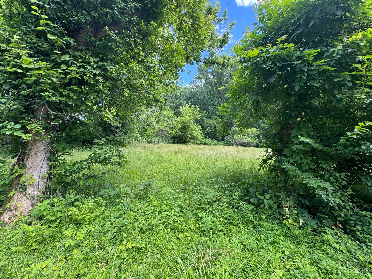 600 Ward Koebel Road, Washington Twp, OH, 45054 — photo 7