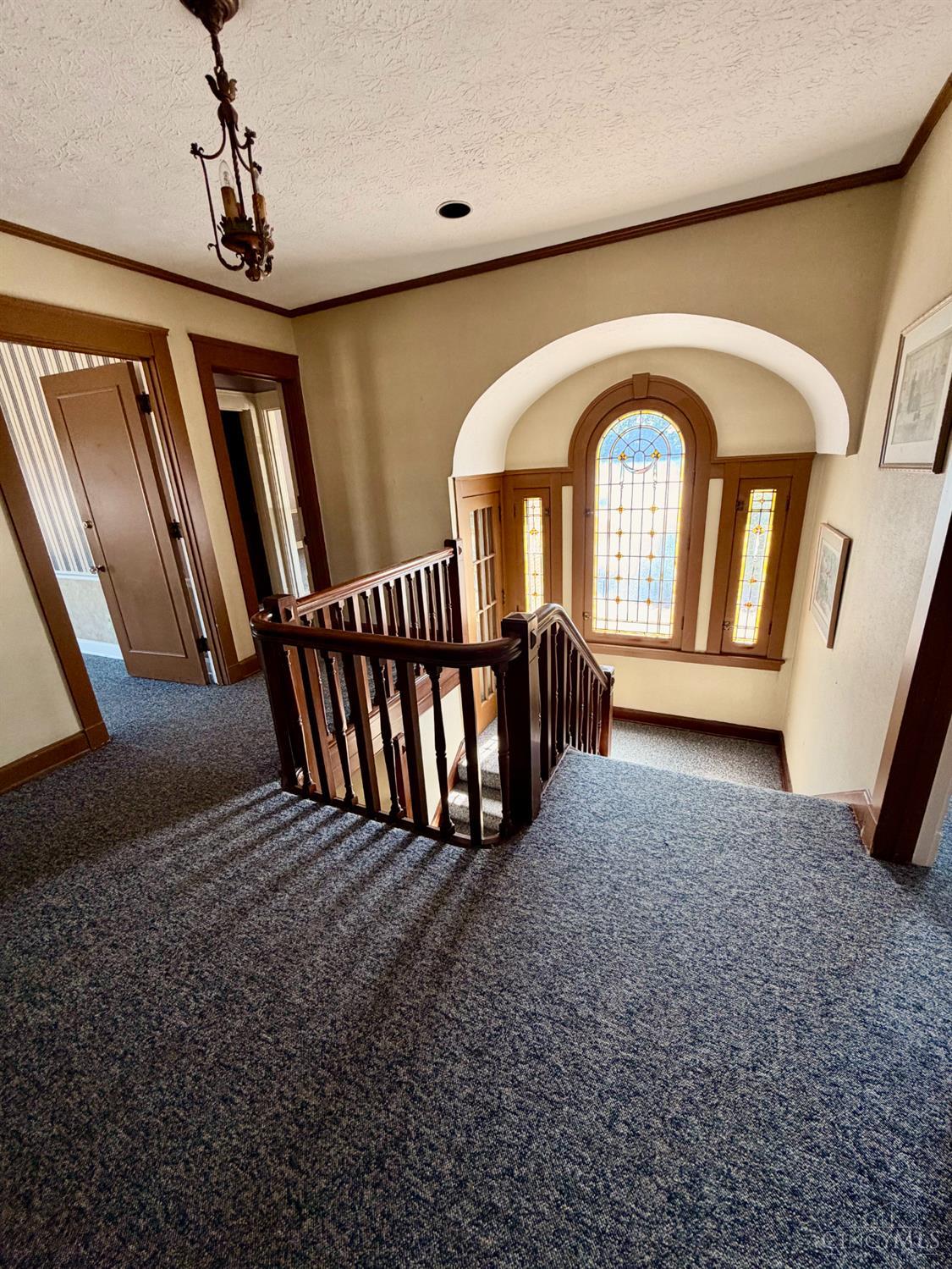 3510 Glenmore Avenue, Cheviot, OH, 45211 — photo 15