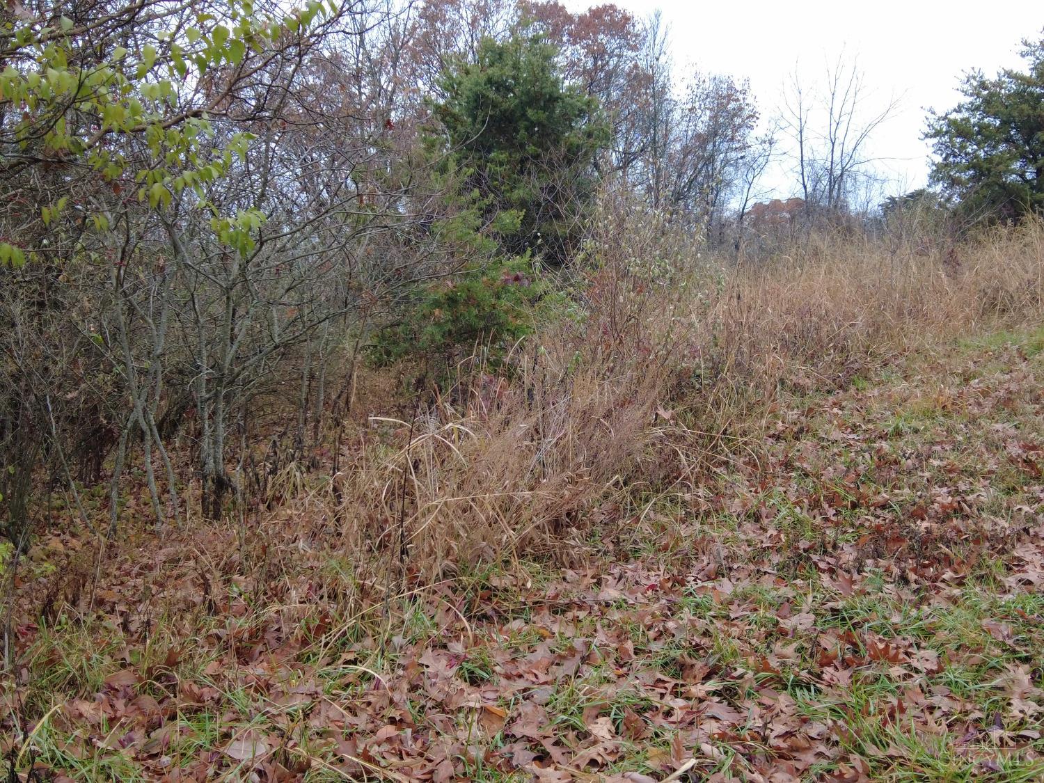 135 Union Hill Road, Franklin Twp, OH, 45660 — photo 28