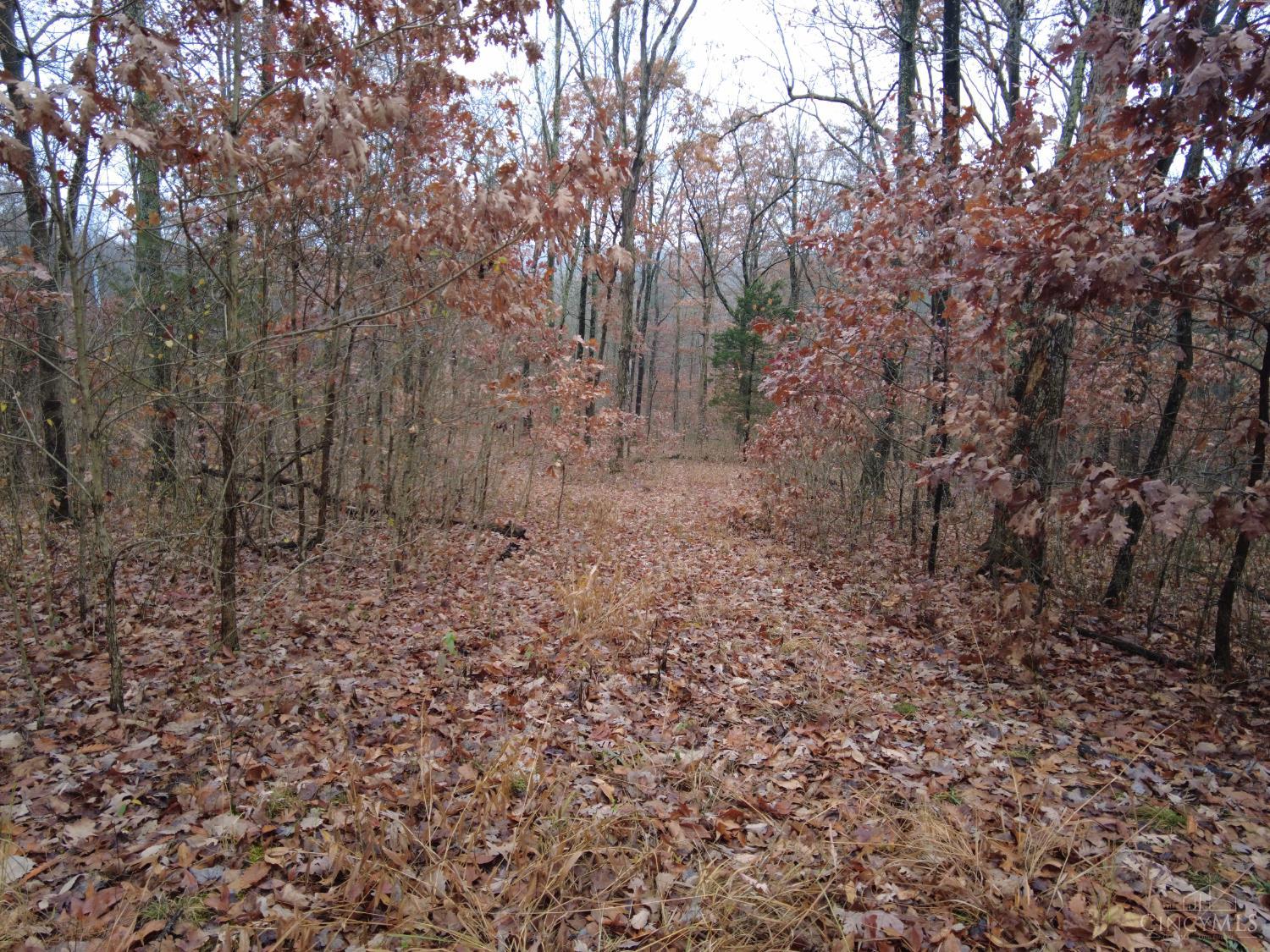 135 Union Hill Road, Franklin Twp, OH, 45660 — photo 27
