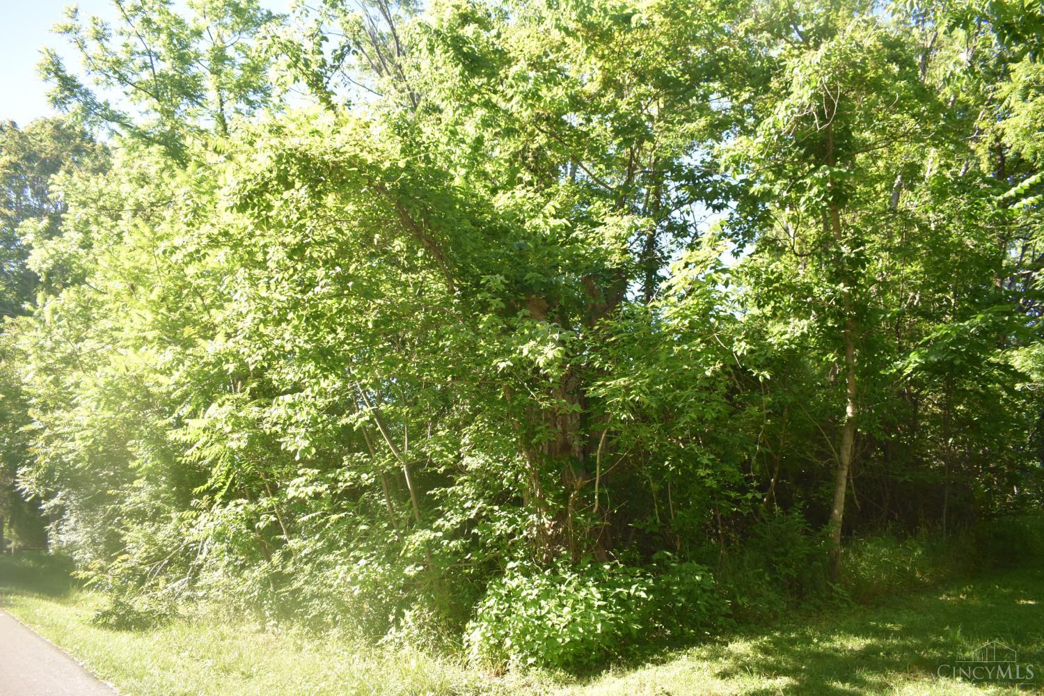 11871 Lakefront Drive, Paint Twp, OH, 45133 — photo 2