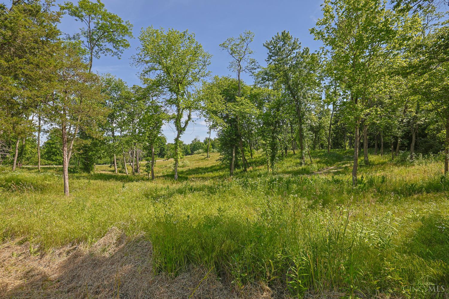 8881 Harrison Avenue, Whitewater Twp, OH, 45002 — photo 3