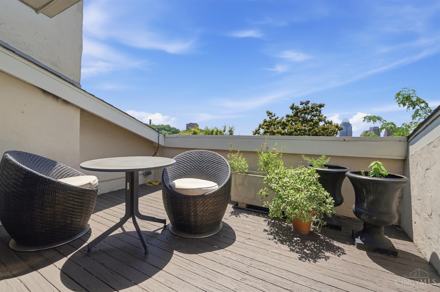 548 Liberty Hill, Cincinnati, OH, 45202 — photo 66