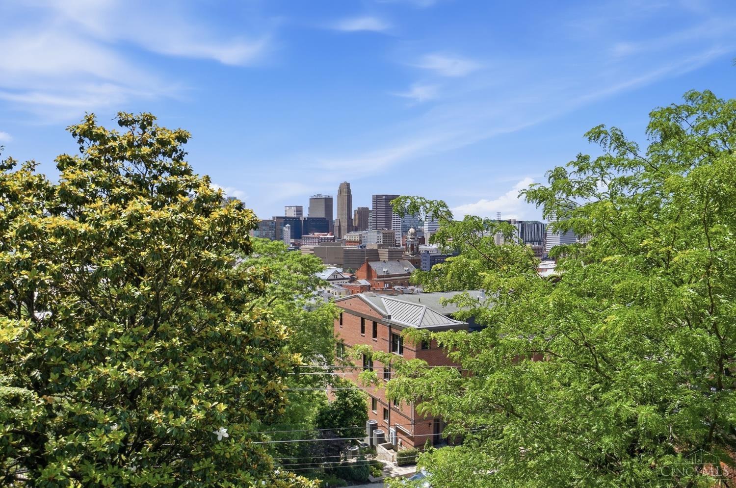 548 Liberty Hill, Cincinnati, OH, 45202 — photo 67