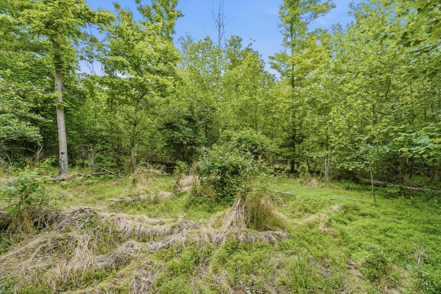 Wolfpen Pleasant Hill Road, Miami Twp, OH, 45150 — photo 10