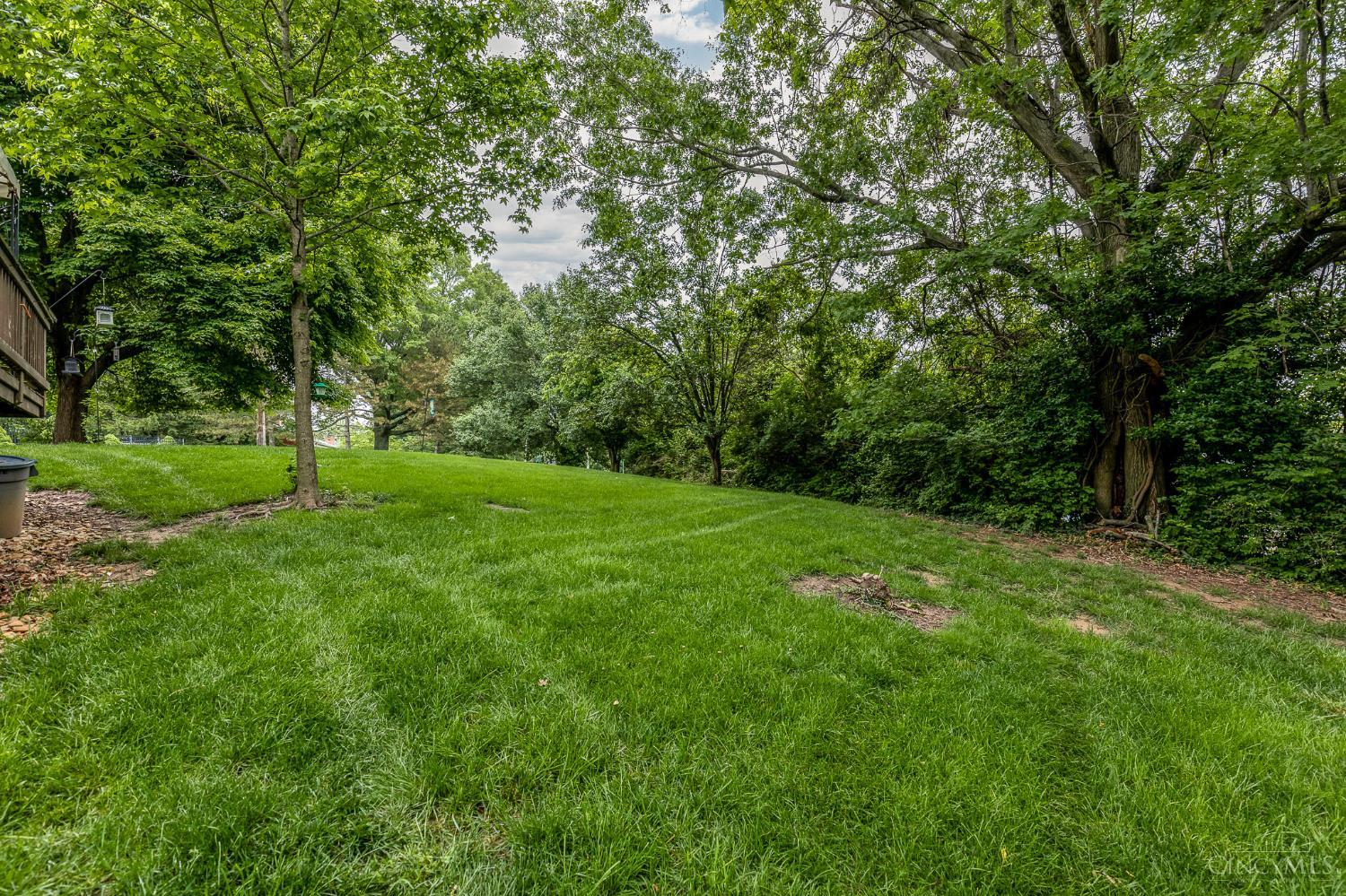 604 Coleberry Court, Cleves, OH, 45002 — photo 42