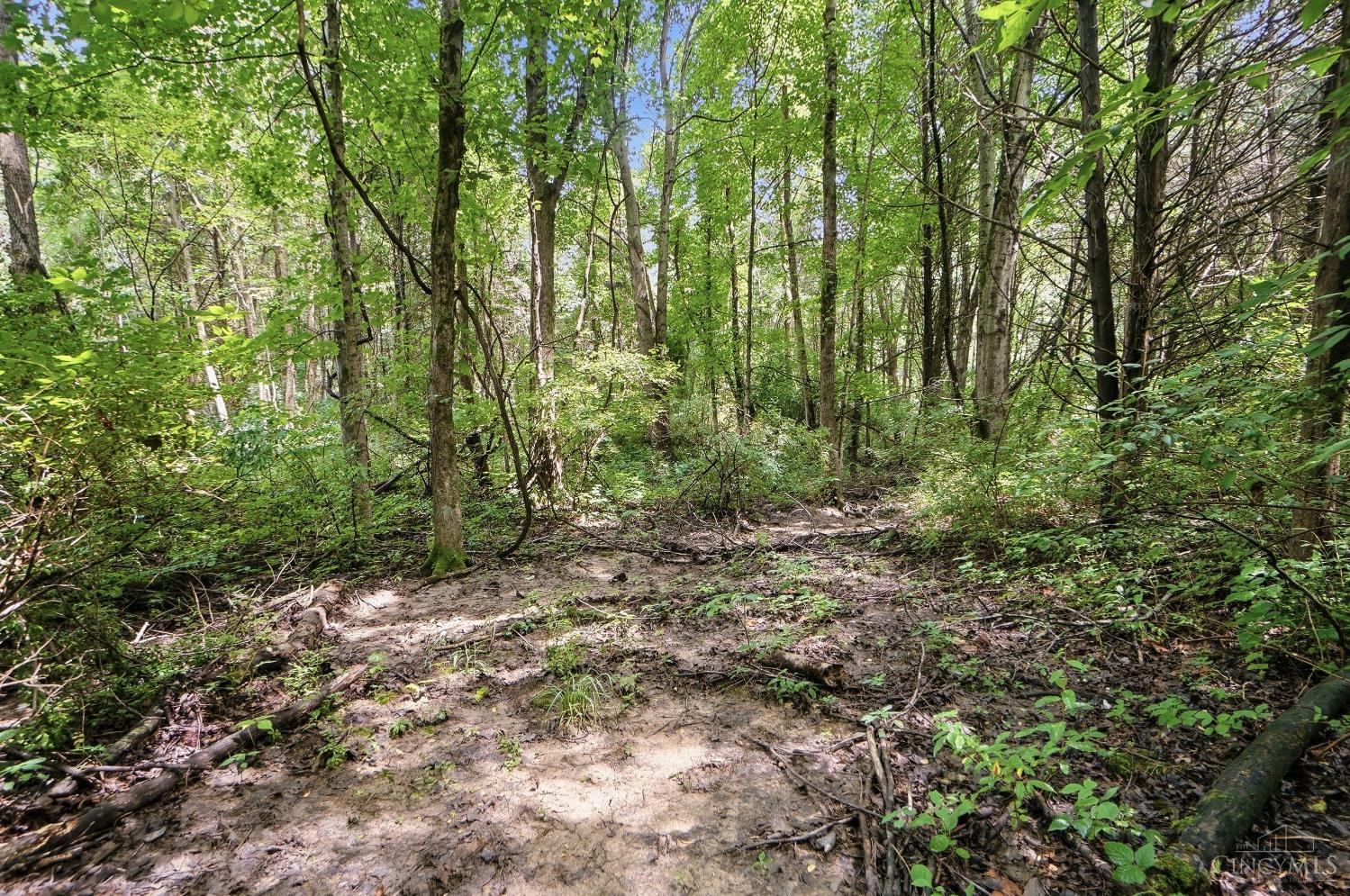 6654 Osceola Road, Harlan Twp, OH, 45152 — photo 56