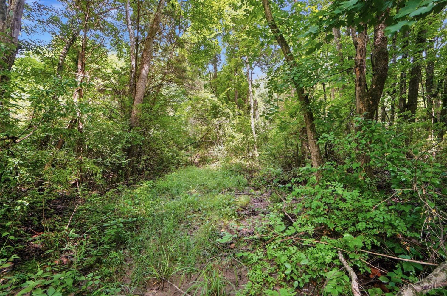 6654 Osceola Road, Harlan Twp, OH, 45152 — photo 55