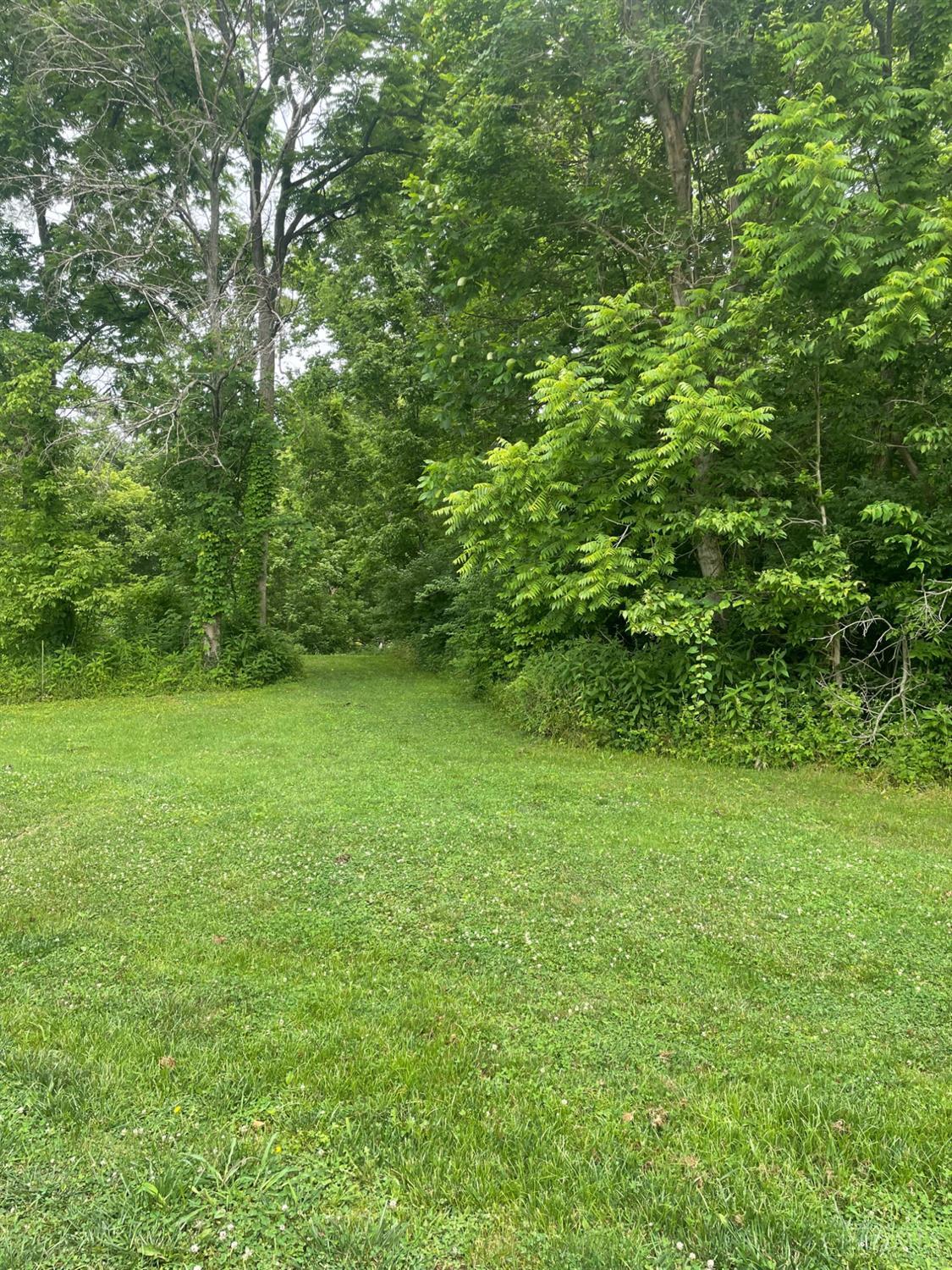Palestine Street, Pierce Twp, OH, 45157 — photo 3