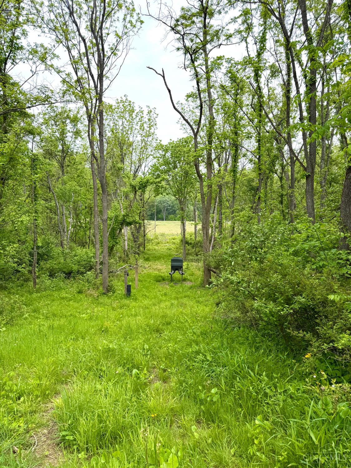 14703 Brier Hill Road, Paint Twp, OH, 45612 — photo 13