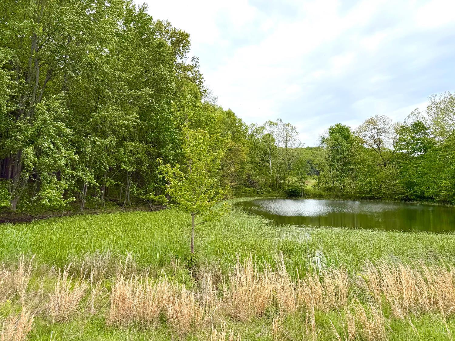 14703 Brier Hill Road, Paint Twp, OH, 45612 — photo 14