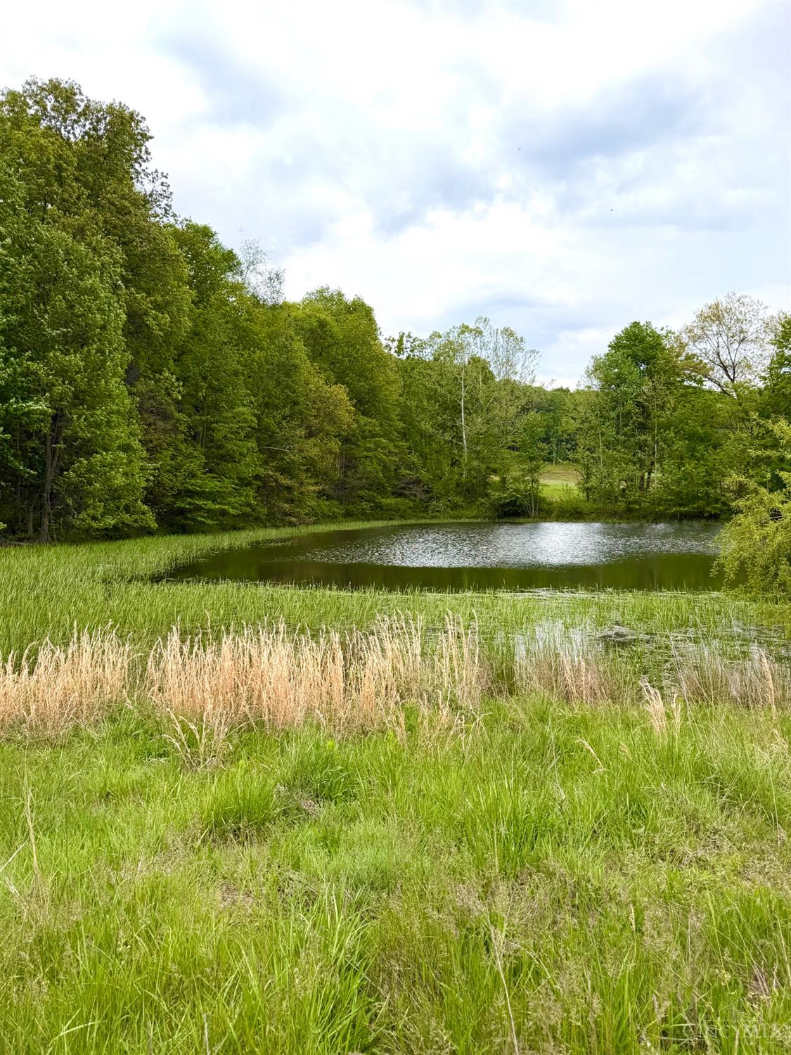 14703 Brier Hill Road, Paint Twp, OH, 45612 — photo 3