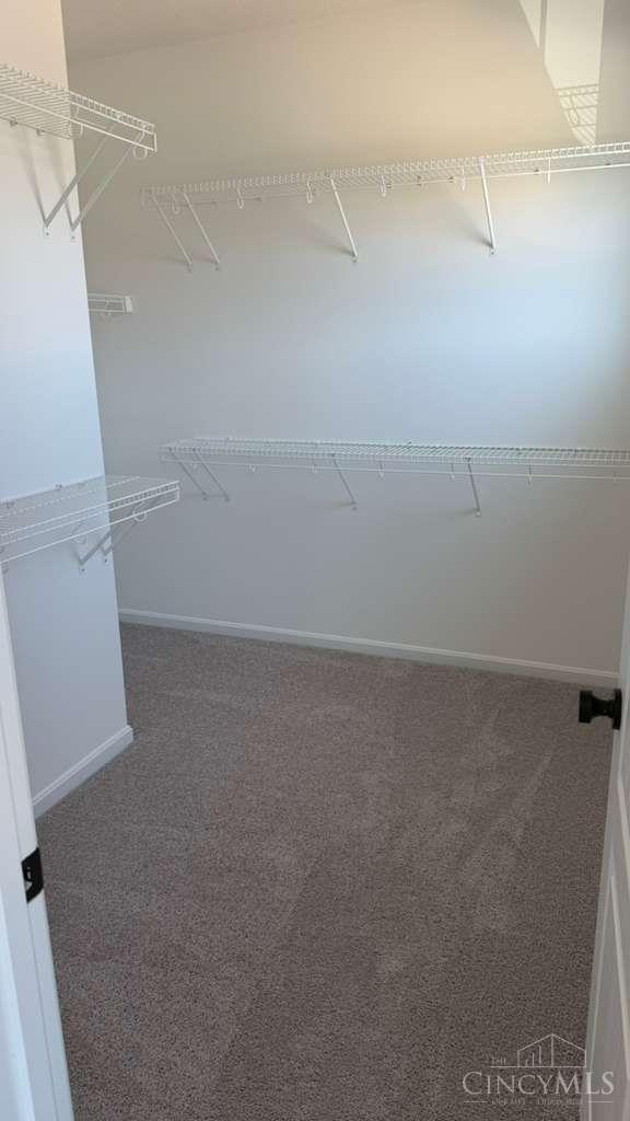 2064 Sunflower Place, Batavia, OH, 45103 — photo 20