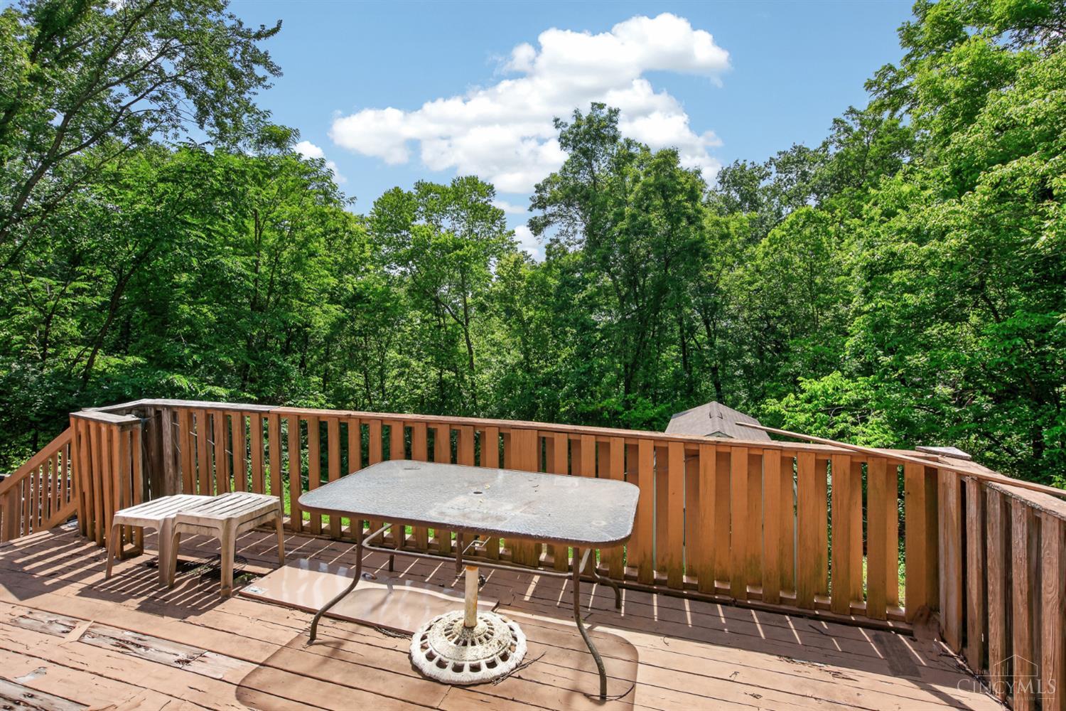 10657 Carolina Trace Road, Harrison Twp, OH, 45030 — photo 34