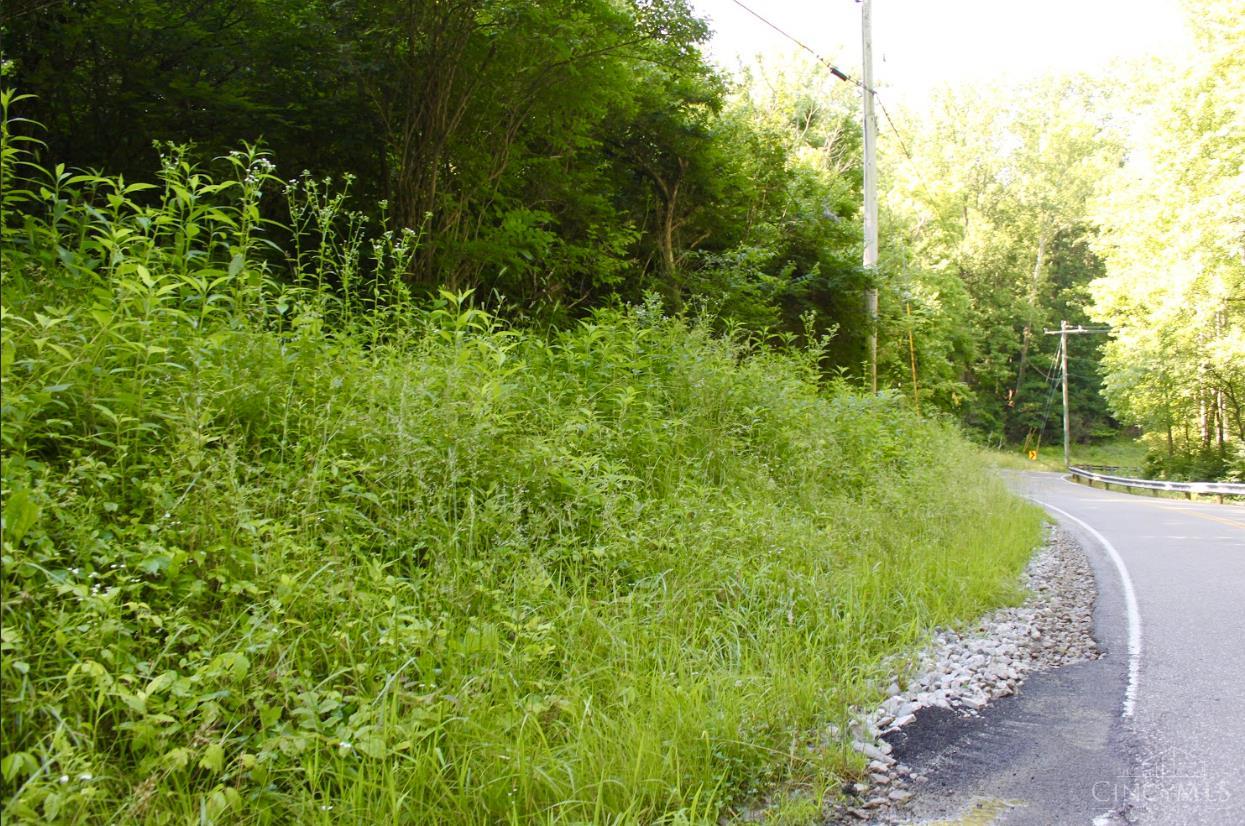 ac Dry Run Road, Stonelick Twp, OH, 45150 — photo 9