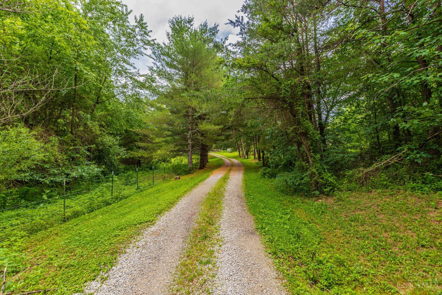 1237 Black Hollow Road, Peebles, OH, 45660 — photo 4